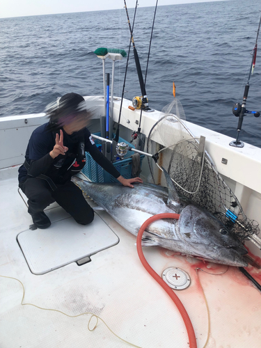 クロマグロの釣果