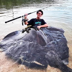 ホシエイの釣果