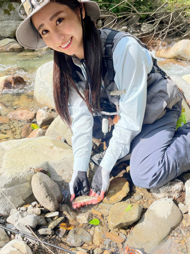 アマゴの釣果