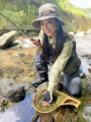 イワナの釣果