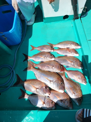 タイの釣果