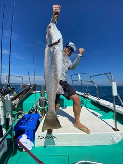 オオニベの釣果