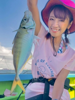 マアジの釣果