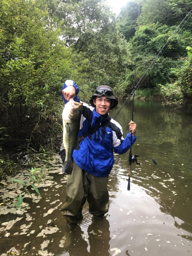 ブラックバスの釣果