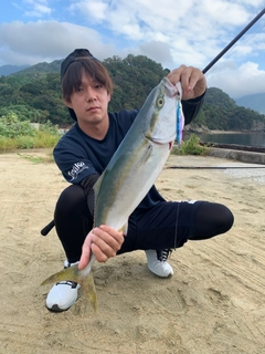 ハマチの釣果