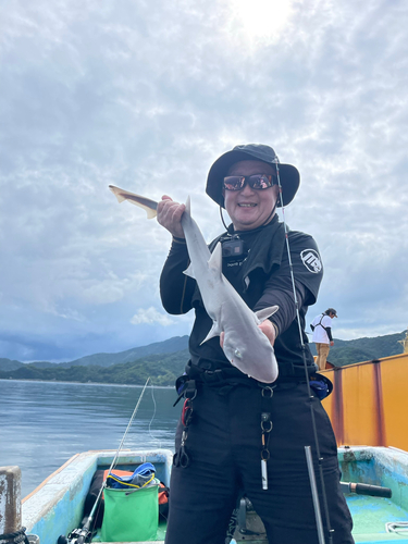 サメの釣果