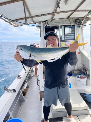 ブリの釣果