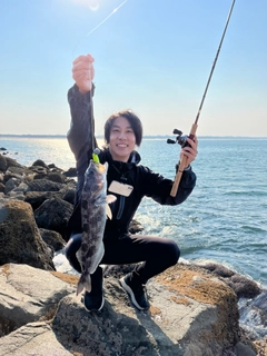 アイナメの釣果