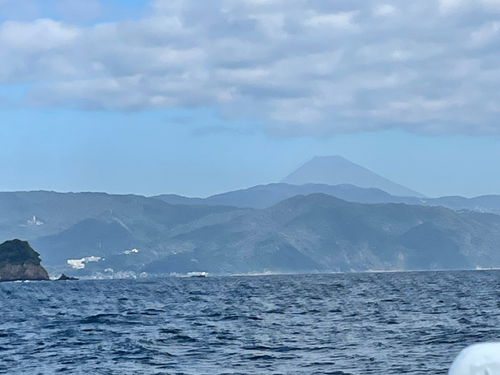 ハナダイの釣果