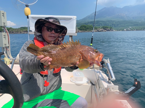 オオモンハタの釣果