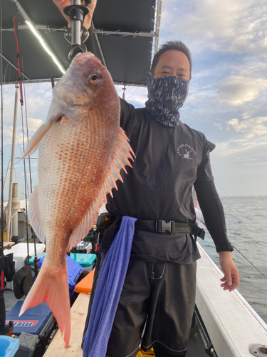 タイの釣果