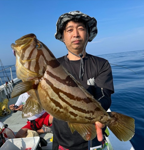 ホウキハタの釣果