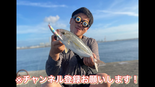 ショゴの釣果