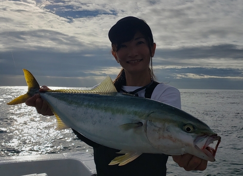 ハマチの釣果