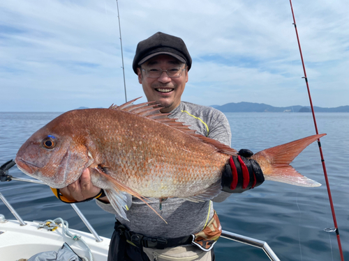 マダイの釣果