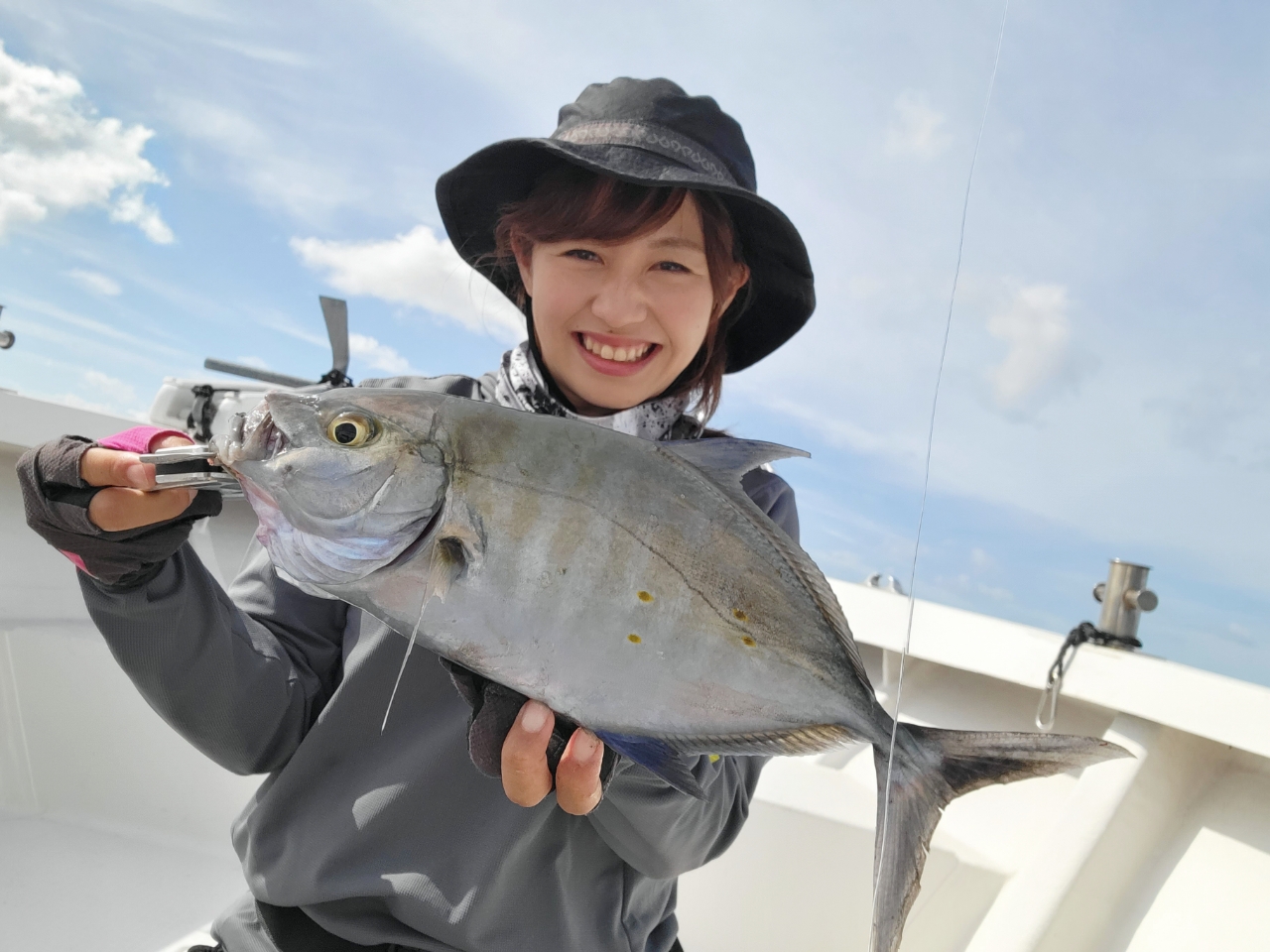 ナンヨウカイワリ