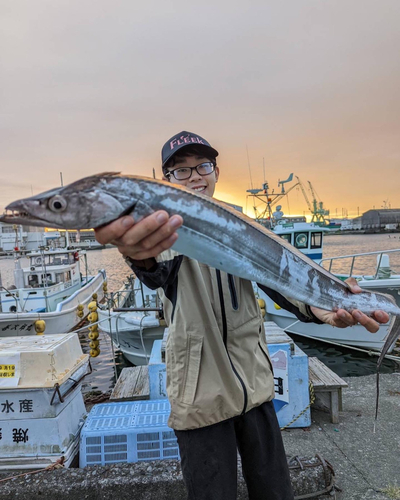 タチウオの釣果