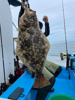 ヒラメの釣果