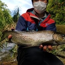 シンシュウサーモン