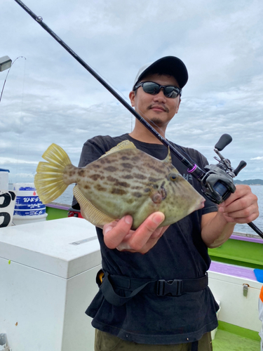 カワハギの釣果