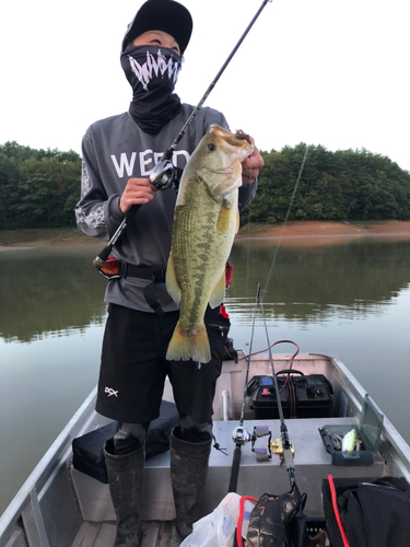 ブラックバスの釣果