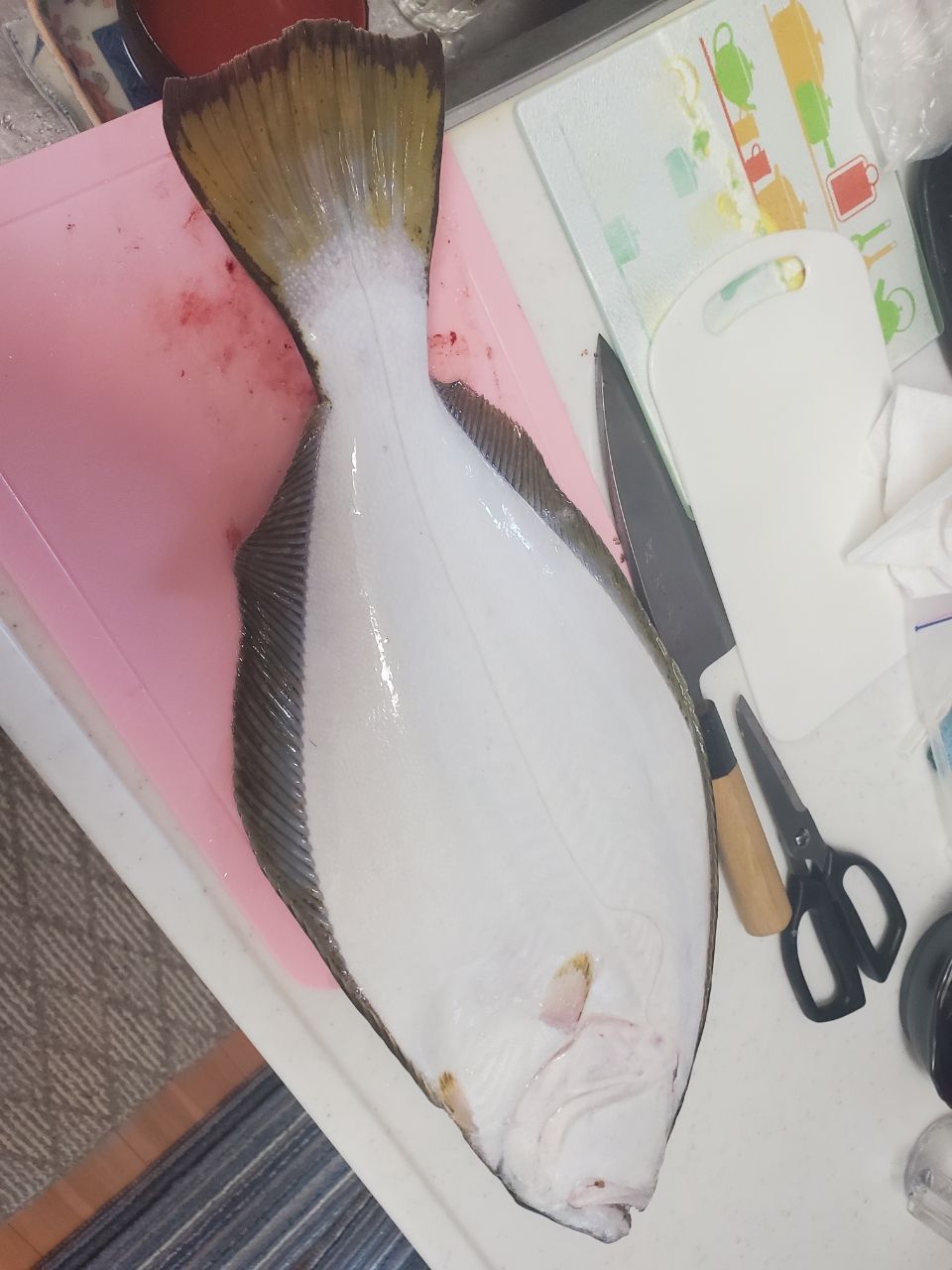 北海道de船釣りさんの釣果 1枚目の画像