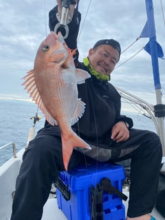 タイの釣果