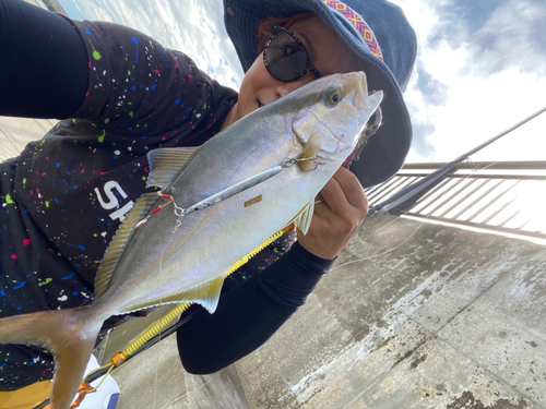 ショゴの釣果