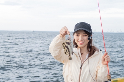 コショウダイの釣果