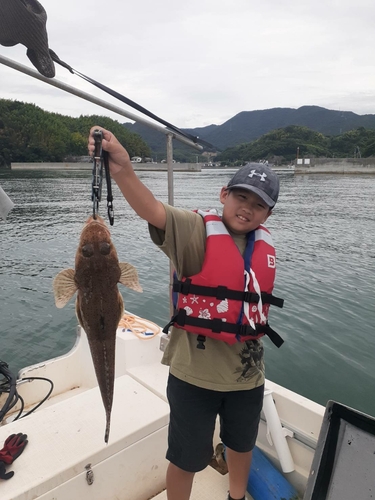 コチの釣果