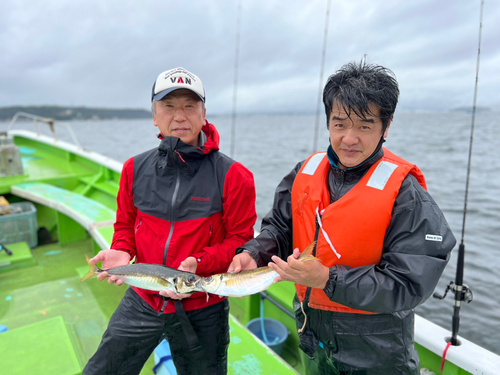 マアジの釣果