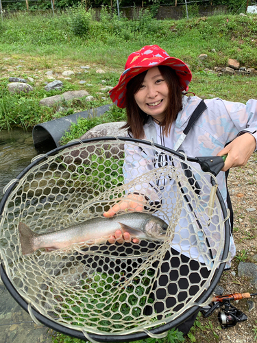 ニジマスの釣果