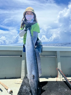 カマスサワラの釣果