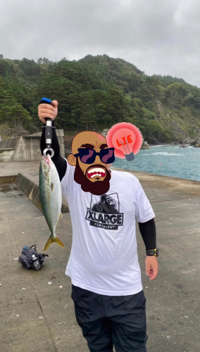 イナダの釣果