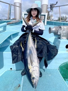 キハダマグロの釣果