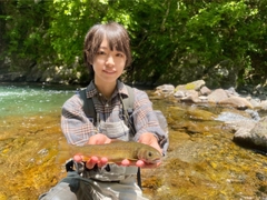 イワナの釣果