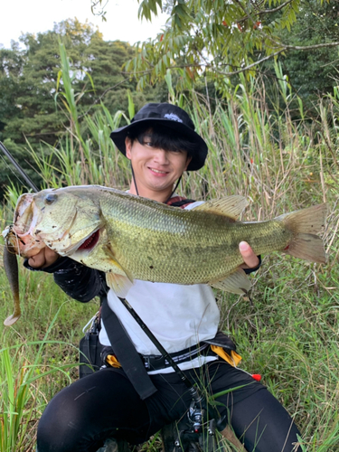 ブラックバスの釣果