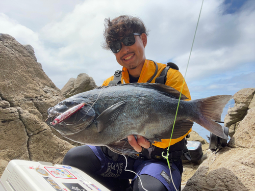 クチブトグレの釣果