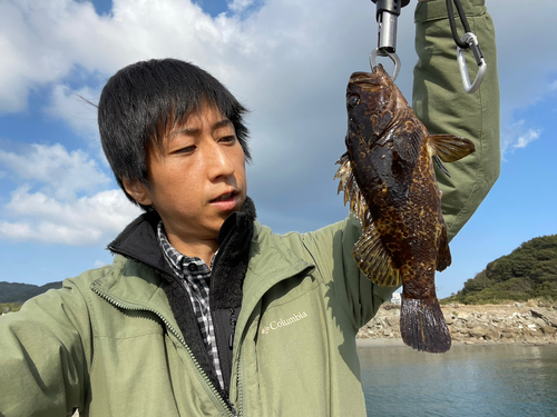 タケノコメバルの釣果