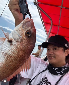 タイの釣果