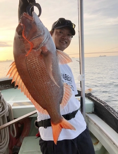 タイの釣果