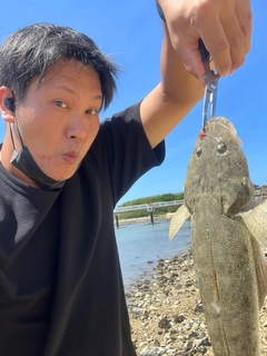 ミナミマゴチの釣果