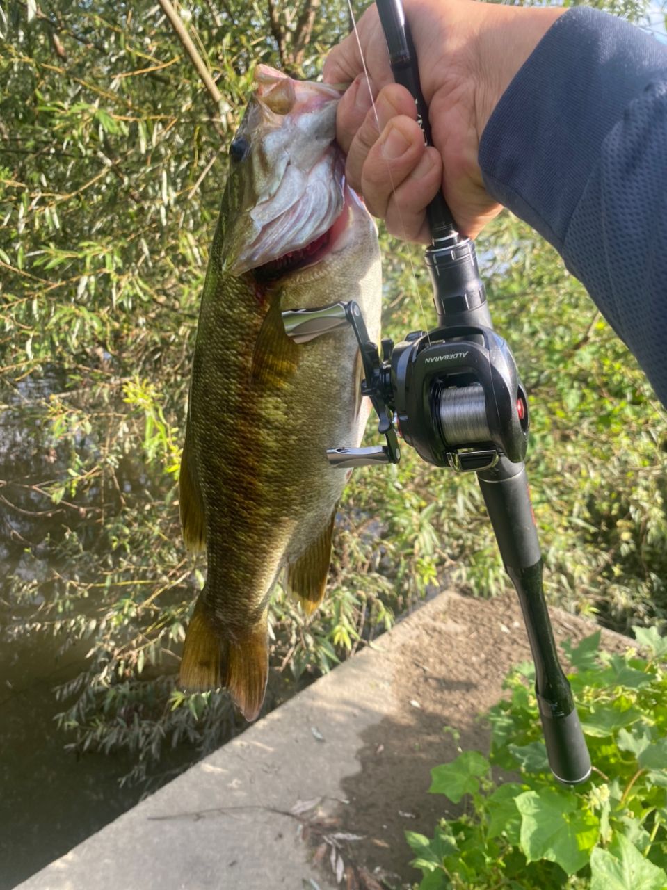 スモールマウスバス