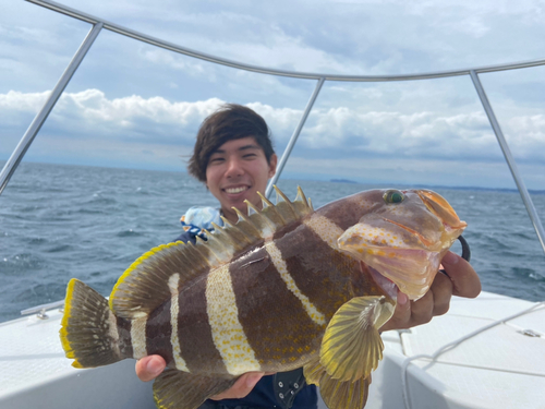 アオハタの釣果