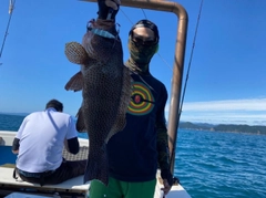 オオモンハタの釣果