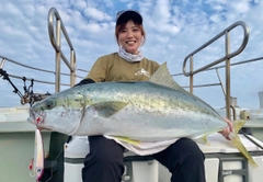 ヒラマサの釣果