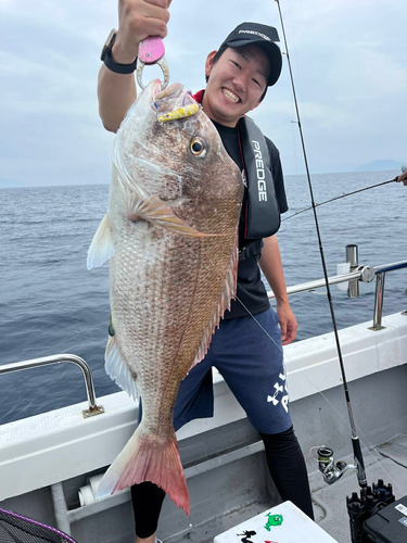 マダイの釣果