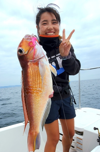 アマダイの釣果