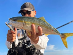 ハマチの釣果