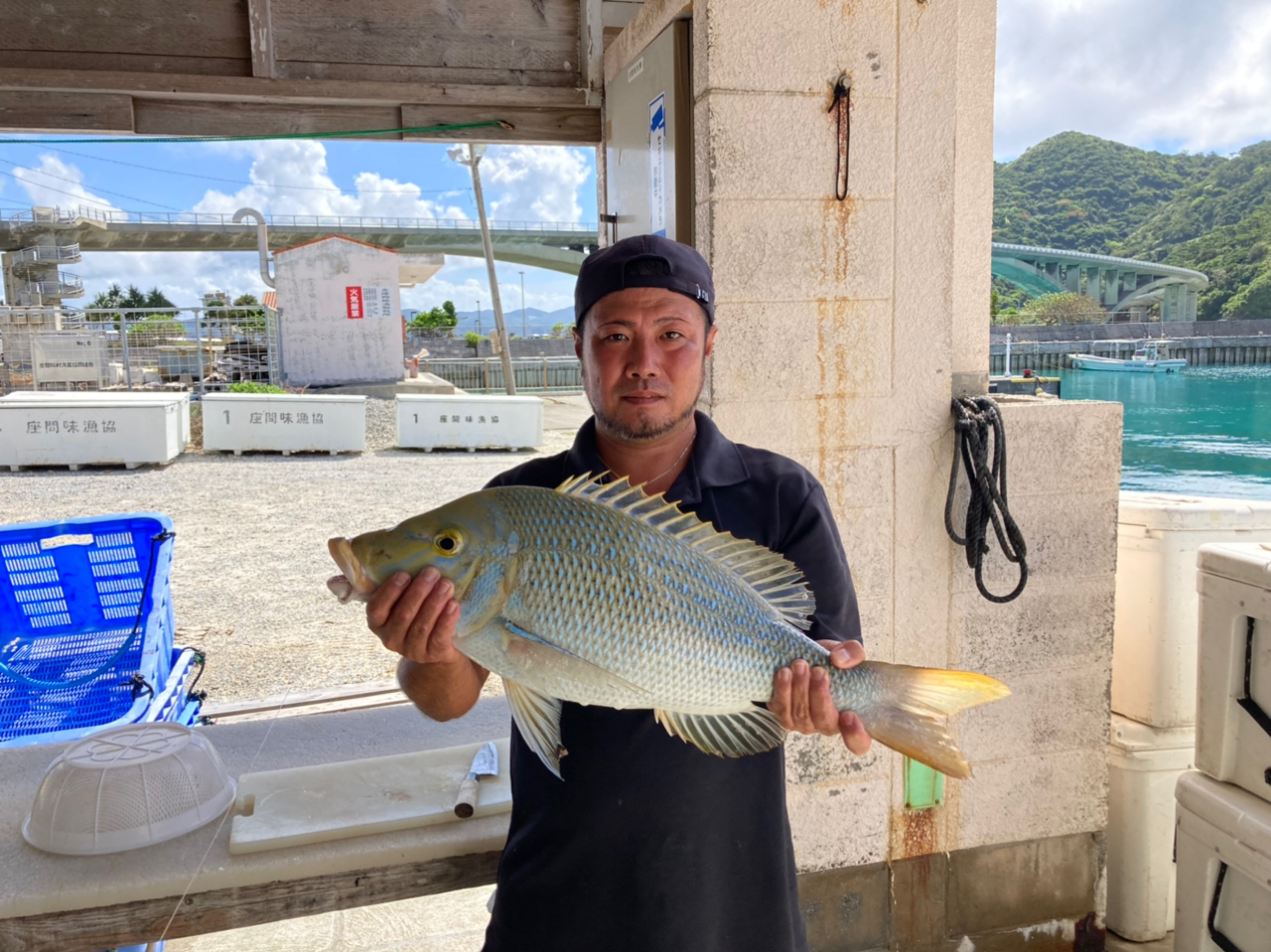 タマン